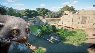 🐈‍⬛ Little binturong habitat  Quaco Zoo  Planet Zoo  speedbuild 🌻 [upl. by Eisseb]