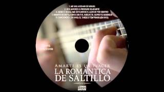 Amarte es un Placer Disco Completo La Romántica de Saltillo [upl. by Nadnarb]