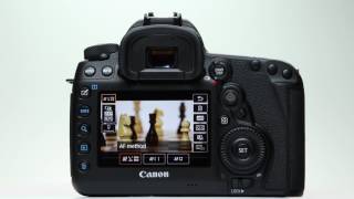 Canon EOS 5D Mark IV Video AF Operation and Features [upl. by Kessler]