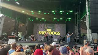 The Sheepdogs  Feeling Good Live  Rock The Park 2024 [upl. by Aihtnic]