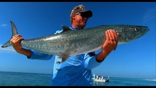 King Mackerel Fishing in Boca Grande Pass Florida [upl. by Ardyaf]