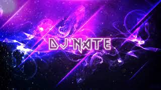 djNate  Clubstep VIP [upl. by Nwadahs]