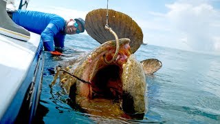 Caught a Monster Grouper that Weighed MORE than the BOAT [upl. by Fridlund462]