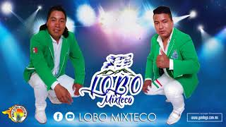 Lobo Mixteco  Homenaje a Mateo Reyes Mix [upl. by Mullane18]