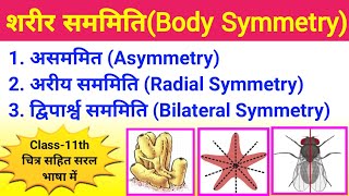 शरीर सममिति Body Symmetry  Asymmetry  Radial Symmetry  Bilateral Symmetry  biology ScienceSK [upl. by Geoffry]