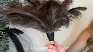 Dusters Killer Ostrich Feather Dusters Dusters Killer Mini Duster Review [upl. by Schoenburg337]