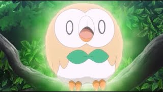 Rowlets Cute Moments 2 [upl. by Animaj425]