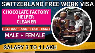 Switzerland Free Work Visa Switzerland Free Jobs for Indian Cleaner Helper Jobs Switzerland [upl. by Anauqed]