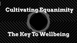 Cultivating Equanimity The Key To Wellbeing  Guided Meditation [upl. by Rubbico264]