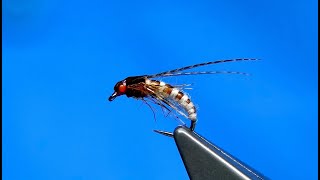 Tying a McPhail Caddis Pupa by Davie McPhail [upl. by Ynitsed941]