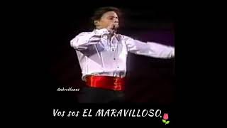 Luis Miguel recuerdos encadenados [upl. by Des]