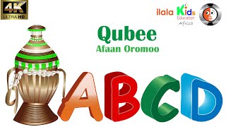 Qubee afaan Oromoo daaimman buuura barnootaatiif [upl. by Atterehs]