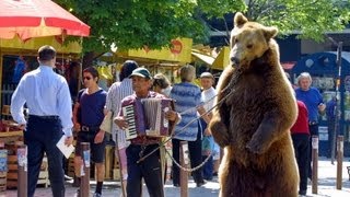 Der letzte Tanz  Die Befreiung der bulgarischen Tanzbären Goscho und Bobby [upl. by Toomay839]