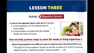 Grade 4LESSON 3 Digestive system شرح الدرس الثالث ساينس سنة رابعة ابتدائي بسهولة [upl. by Anitsugua632]