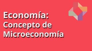 Concepto de Microeconomía [upl. by Analem]