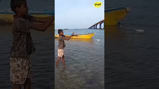 Tomato Boys பிடிச்ச பருத்திப்பால் மீன் 😱❗ Hook Fishing by Tomato Boys [upl. by Elmaleh]