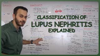 Lupus Nephritis Classifications Explained  NasirMed [upl. by Boothe]