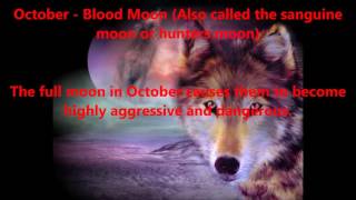 The Effects of the Different Moons on Werewolves amp Wolfbloods [upl. by Rattray]