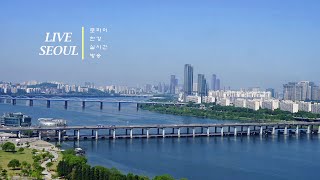 🔴실시간 서울 • 한강 라이브 🔴Seoul Live Hangang 4K Cam  247 lofi radio 🌉반포대교 🎵로파이공부 코딩노을야경휴식•韓國 ソウル [upl. by Egoreg49]