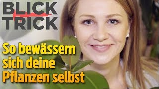 Pflanzen bewässern sich selbst – und überleben deine Ferien Life Hacks I BLICKTrick [upl. by Gonzalo957]