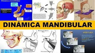 quotDINÁMICA MANDIBULARquot por el Dr Hugo Pérez Suasnabar [upl. by Hal]