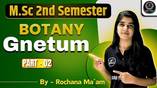 Gnetum Part 2  MSc Botany 2nd Semester  Paper 2nd  Rochna Maam [upl. by Yortal]