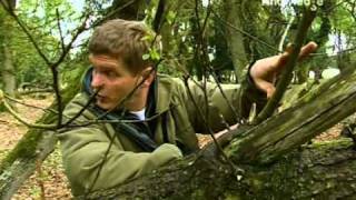 Ray Mears Bushcraft ep 10 PL [upl. by Idel]