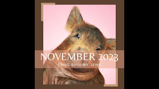 BaZi amp Feng Shui Talk  November 2023  Pig Month [upl. by Neleag]