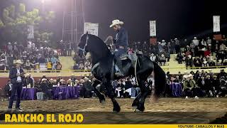 🏆De los MEJORES FRISONES en la FERIA GANADERA DE CULIACÁN [upl. by Notsniw47]