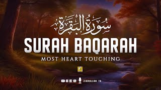 Best Surah Al Baqarah Full سورة البقره  Heart touching recitation  SOFT VOICE  Zikrullah TV [upl. by Nekal977]