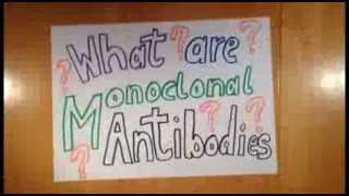 What are Monoclonal Antibodies [upl. by Ohara873]