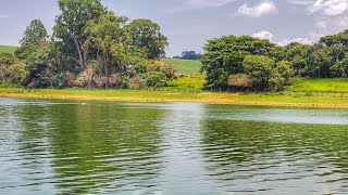 alfenas Minas Gerais [upl. by Connolly]