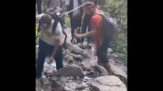 Kheerganga trek 30 June 2024 himachalpradesh travel kasol kheergangatrek [upl. by Roxine]