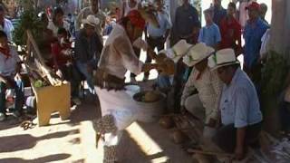 danza del venado en el salitral etchojoa [upl. by Benildis]