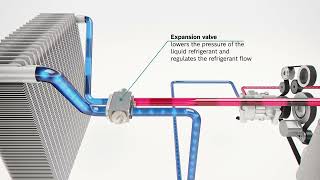 EN  Animation Climate Cycle [upl. by Arym]