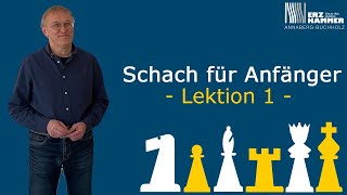 Schach für Anfänger  Lektion 1 [upl. by Ioab]