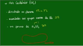 Sistema Respiratório  Reações da Hematose  Aula 2 [upl. by Lawry]