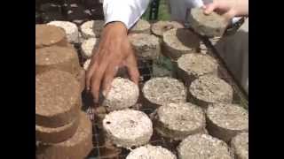 FOST briquette making process [upl. by Mak]