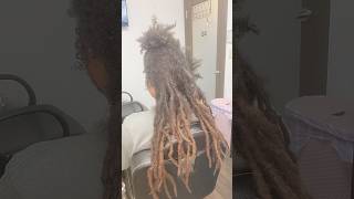 Freeform Dreads to Traditional Locs  Results after 1 year 👀🔥 [upl. by Omrellug]