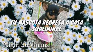 TU MASCOTA REGRESA A CASA SUBLIMINAL [upl. by Murat]