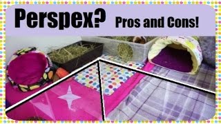 PlexiglassPerspex for DIY Pet Cages Pros and Cons  Squeak Dreams [upl. by Carson]