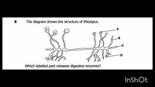 2017 BIOLOGY PAPER 1  Saprophytic Nutrition [upl. by Taka135]