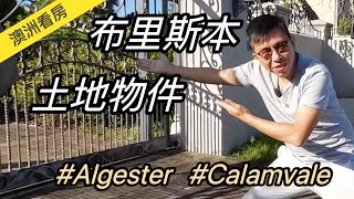 澳洲看房｜布里斯本南區，絕佳買地自建區域！Algester 和 Calamvale！ [upl. by Christmas430]