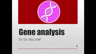 Biochemistry  1st year  gene analysis Part 1 [upl. by Naenaj]