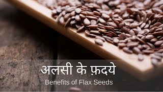 Alsi Seeds अलसी के बीज  Benefits of Flax Seeds in Hindi [upl. by Ariahaj668]