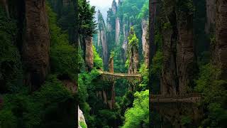 Zhangjiajie China travel 4k nature naturelovers china zhangjiajie 8k [upl. by Aseeram]