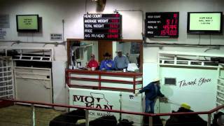 2010 World Livestock Auctioneer champion Kyle Shobemp4 [upl. by Etheline906]