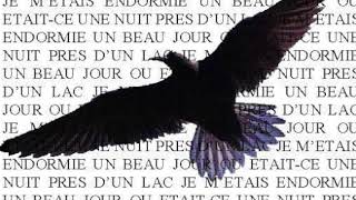 Barbara  Laigle noir 🦅 「 1 HEURE ♬」 [upl. by Alene]