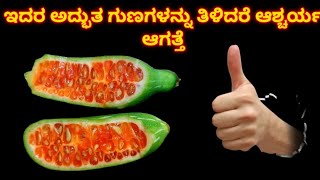 ಯಾರೂ ಊಹಿಸದಂತ ಅದ್ಭುತ ಆರೋಗ್ಯ ಗುಣಗಳು ಇದರಲ್ಲಿವೆ ನಿಮ್ಮ ಮನೆಯಲ್ಲೇ ಬೆಳೆಸಿಕೊಳ್ಳಿ Scarlet Gourd [upl. by Wells]