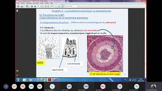 vidéo 5 LA MEMBRANE PLASMIQUE en darija BIOLOGIE CELLULAIRE BCG S1 [upl. by Ramar]